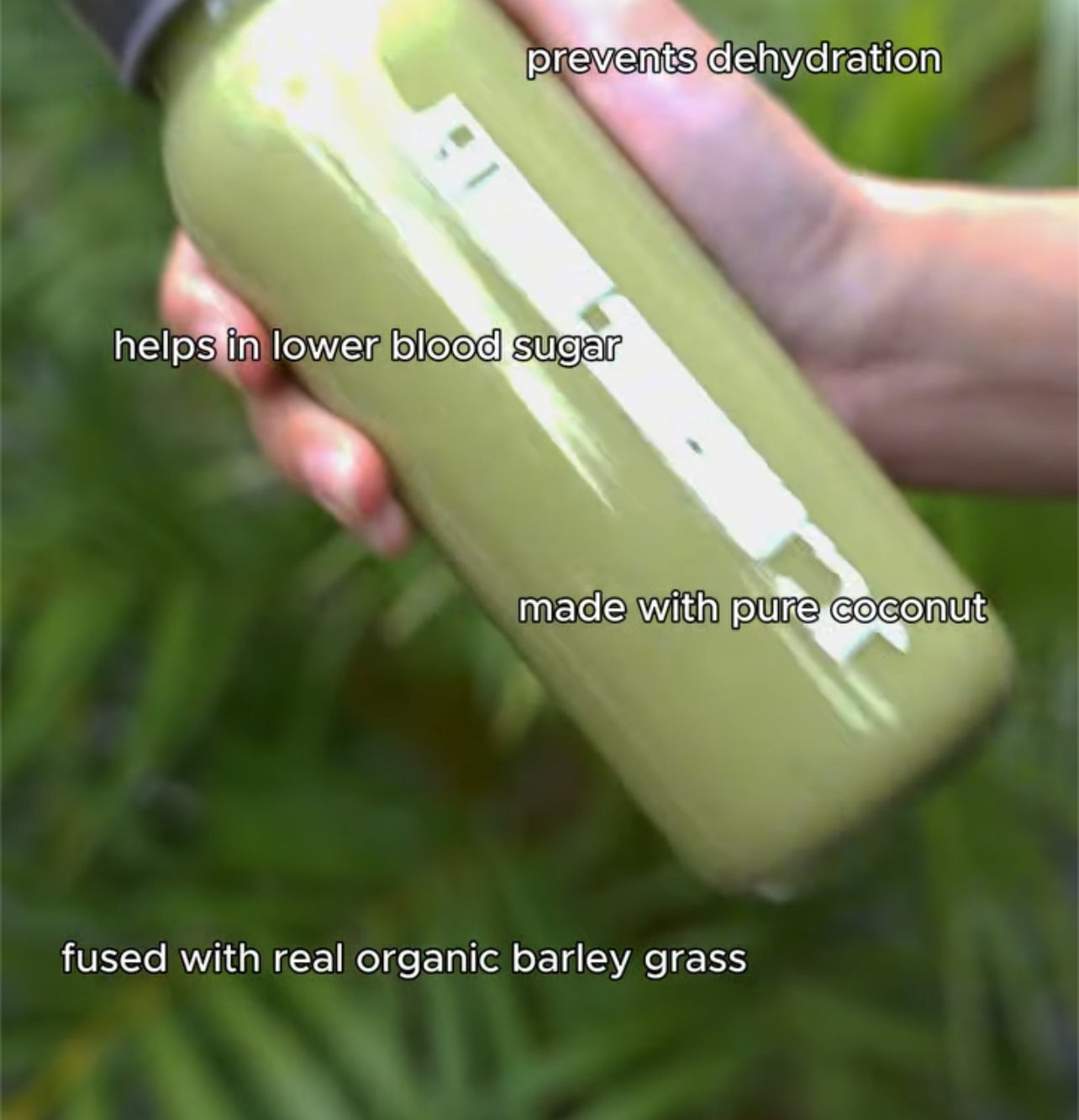 JC Organic Barley Juice 1x10 sticks